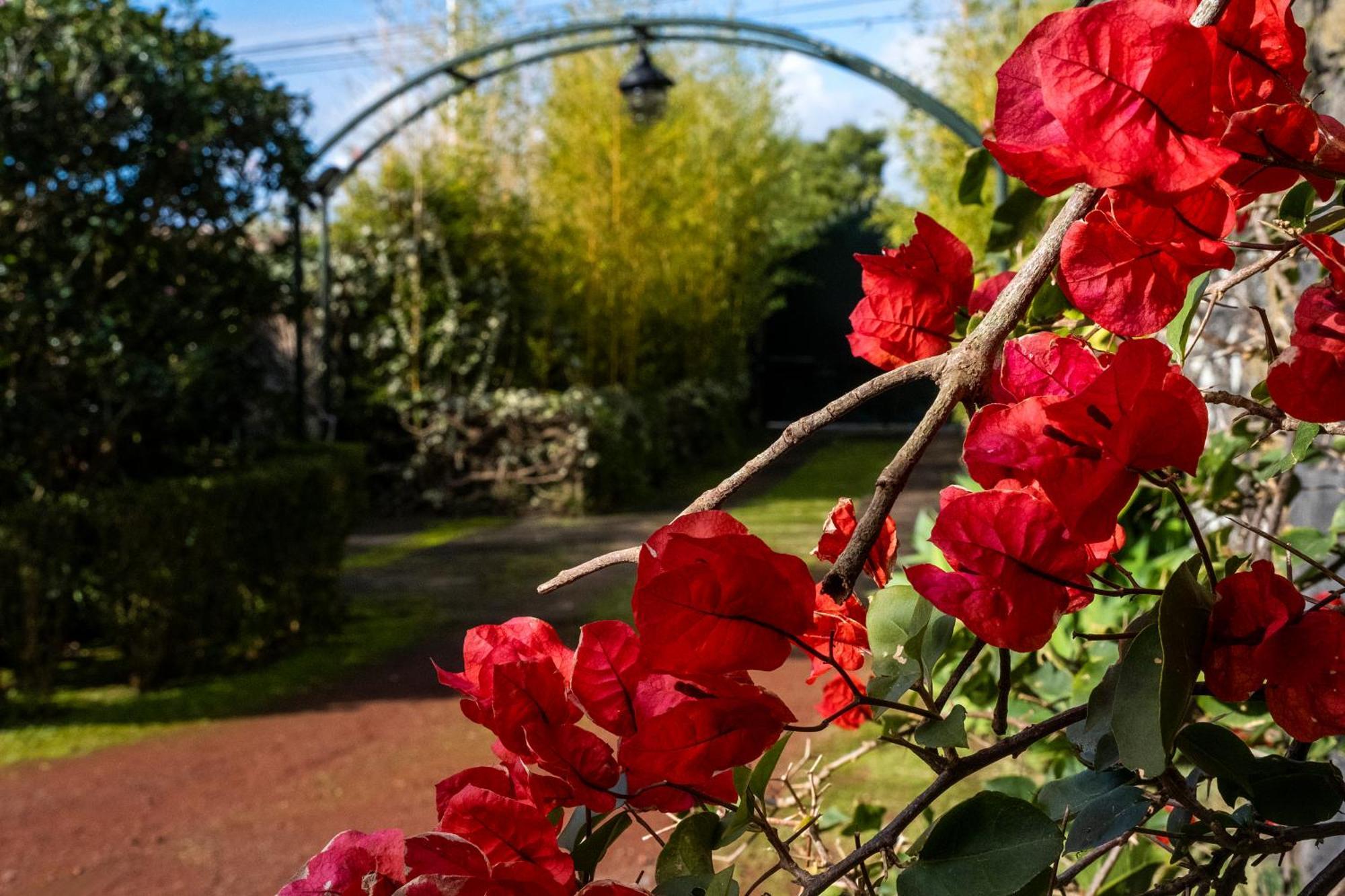Casa Villa Garden Ponta Delgada Buitenkant foto